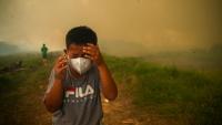 Can ASEAN do more to stop Indonesia's smoke haze?