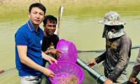Rice and shrimp: A farming method from Shanghai's Chongming Island has found new ground in Cambodia, quietly improving the lives of local farmers