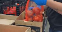 Weld Food Bank welcomes Xcel Energy's Day of Service
