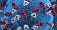 North Carolina's kindergarten vaccination rates show vulnerability to measles amid US outbreaks