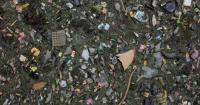 ISMAIL LAGARDIEN | Capitalism’s ecological disasters in fire and rain of Borneo and Italy