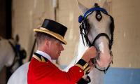 RICHARD EDEN: King Charles caught up in a most peculiar horsey hoo-ha