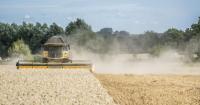 Farmers demand government action to reverse UK's falling food self-sufficiency