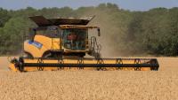 UK food production falls as farm losses mount, NFU warns
