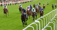 Constitution River joined by Derby hero Lambourn and Hawk Mountain in Champion Stakes mix