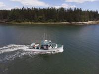 Open Woods Hole Meeting Will Peer Review Gulf of Maine Haddock and American Plaice Assessments