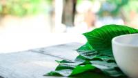 Why it Matters that Baltimore is Suing Kratom Companies