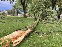 Detroit Evening Report: Detroiters assess the cost of tornado damage