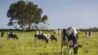 Irish farmers need backing to prepare for climate extremes