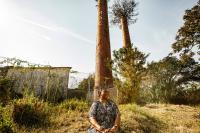 South African sugar mills battle for survival over state indecision