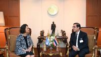 Thailand's FM summons Israeli ambassador over tourist behavior, calls for taking stronger actions