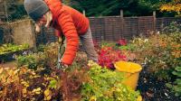 Gardeners told to do 4 essential tasks this September to prepare for winter