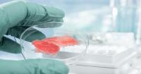 China’s cultivated meat push faces consumer reality