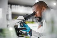Lallemand establishes Solyve as dedicated food and beverage enzyme business