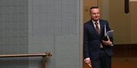 Politics with Michelle Grattan: Chris Bowen on co-hosting COP and Australia’s renewables target