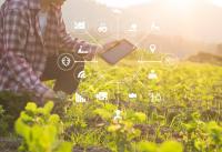 SUSTAINCrop to Measure Industrial Crop Footprints