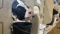WI dairy farmers worried as Canada's retaliatory tariffs begin