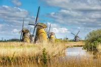 Europe’s Long-Bond Market Faces €1.6T Dutch Pension Shock