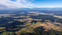 Is Monte Verde really 14,500 years old? Researchers clash over true age of Chile's ancient site