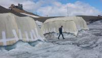 Can sheep save melting glaciers? Swiss scientists put wool to the test