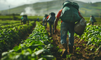 Jencap acquires Midwest farm and ranch wholesaler Concorde