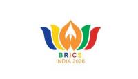 India Should Convert Global South Ties Into Trade, Investment Growth Through BRICS Summit: Industry