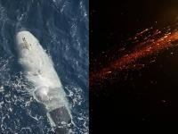 Iran launches missiles at Jordan, claims to trap ‘mysterious US underwater toy’ in Hormuz; oil prices rise