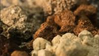 Aclara forms JV with Japan's JOGMEC to find new rare earth deposits in Brazil