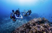 Nova Maldives Partners With PADI For ‘Project AWARE Week’ In September