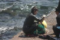 South Korea’s ‘sea women’ seek accountability for harbor damage to marine habitat