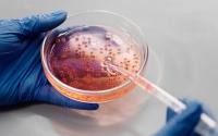 Spain players offered egg freezing in RFEF reproductive health deal