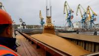 How Africa came to depend on Russian wheat