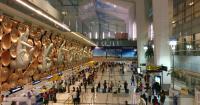 Malaysian woman arrested at Delhi airport with 15kg cannabis