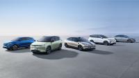 WM Motor Inventory Cars Auctioned, Average Unit Price Only 25,000 Yuan