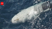 Iran says it captured US military's most 'modern, intelligent' submarine: What is Dive-LD?