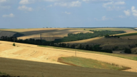 Infortar's Litagra takeover to create Baltic dairy heavyweight