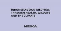 Indonesia’s 2026 Wildfires Threaten Health, Wildlife and the Climate