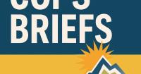 COPS BRIEFS: Man facing $1 million bail following violent crime offenses
