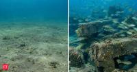 In 2016, Texas built RGV Reef from 477 piles of railroad ties and concrete across 1,650 acres off South Padre Island; sonar estimated 24.4 tons of fish biomass there