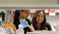 Students get a head start on undergraduate research in STEM fields
