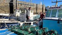 The billion-euro trade driving Europe's eels to extinction