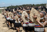 Nguni history is more than just ethnography — a curator of African art explains
