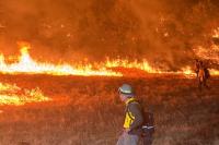 Five Texas wildfires pull Central Texas crews onto Palo Pinto, Sutton fire lines
