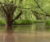 Legislative study committee begins look at Wisconsin floodplain restoration