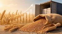 Government approves import of 750,000 tonnes of wheat