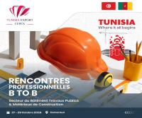 B2B meetings for Tunisian construction companies in Cameroon