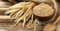 Kosovo adds tariff on Serbian wheat seed