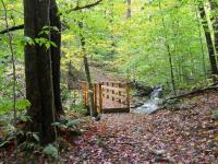 Celebrate the Hinesburg Town Forest, 2026 Tree Farm of the Year
