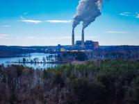 The ETS review and carbon credits: how many tonnes, how many credits?