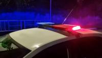 Stolen gun recovered in Rotterdam traffic stop, police say